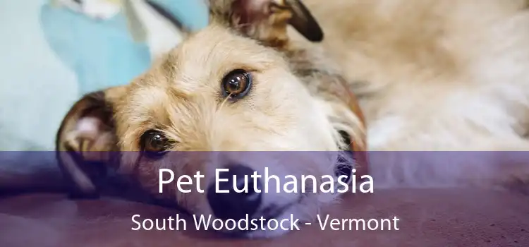 Pet Euthanasia South Woodstock - Vermont