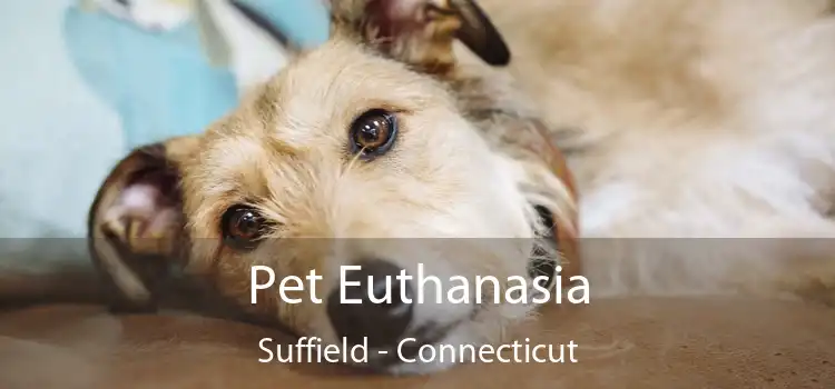 Pet Euthanasia Suffield - Connecticut