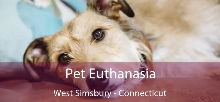 Pet Euthanasia West Simsbury - Connecticut