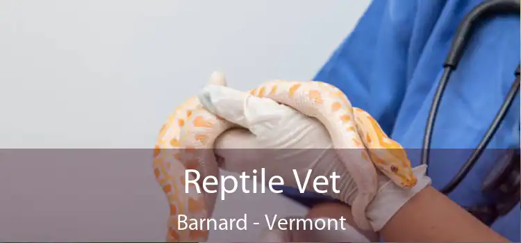 Reptile Vet Barnard - Vermont