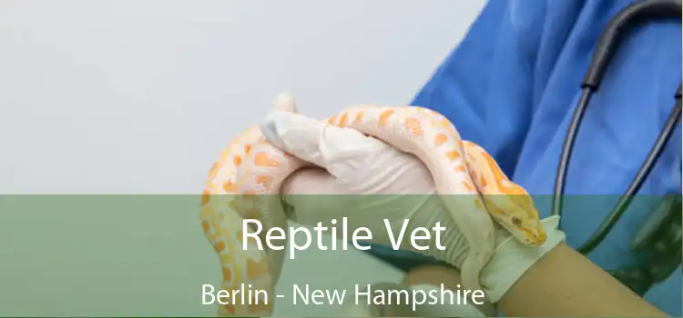 Reptile Vet Berlin - New Hampshire