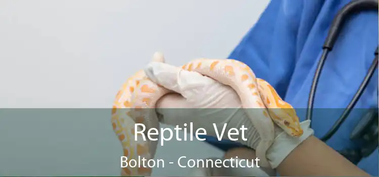 Reptile Vet Bolton - Connecticut