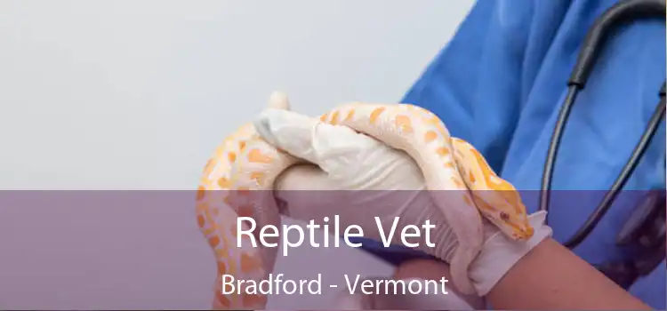 Reptile Vet Bradford - Vermont