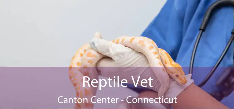 Reptile Vet Canton Center - Connecticut