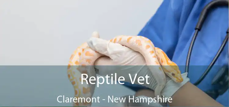 Reptile Vet Claremont - New Hampshire