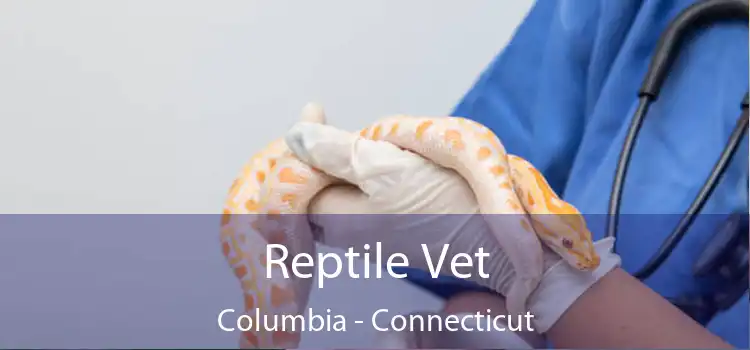 Reptile Vet Columbia - Connecticut