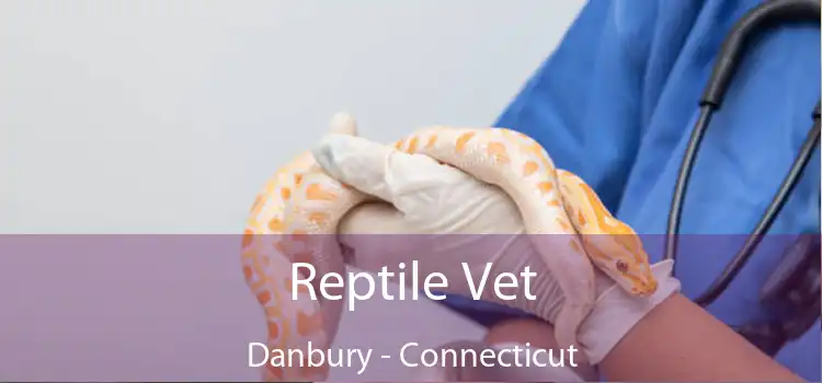 Reptile Vet Danbury - Connecticut