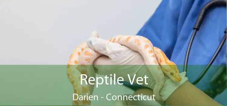 Reptile Vet Darien - Connecticut