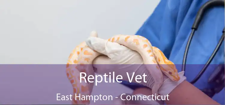 Reptile Vet East Hampton - Connecticut