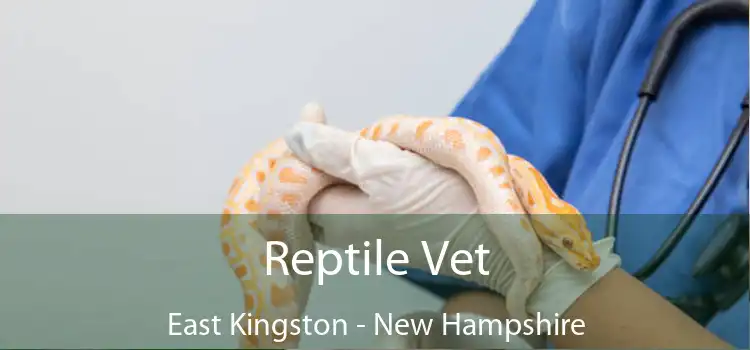 Reptile Vet East Kingston - New Hampshire