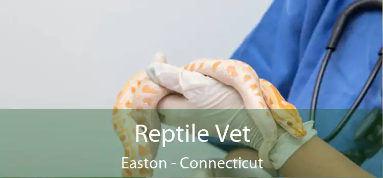 Reptile Vet Easton - Connecticut