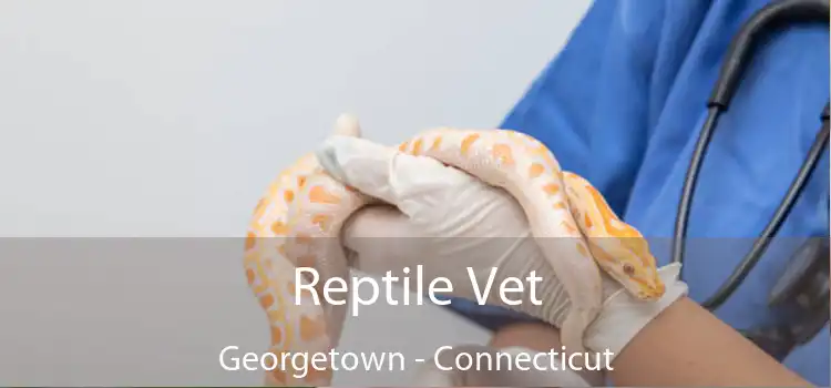 Reptile Vet Georgetown - Connecticut