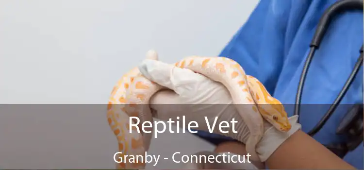 Reptile Vet Granby - Connecticut