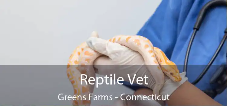 Reptile Vet Greens Farms - Connecticut