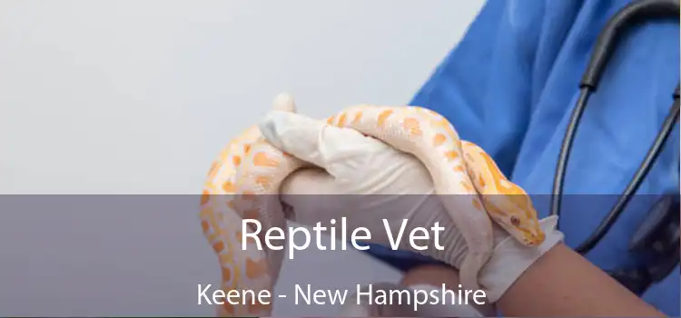 Reptile Vet Keene - New Hampshire