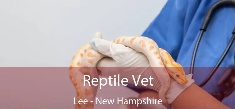 Reptile Vet Lee - New Hampshire