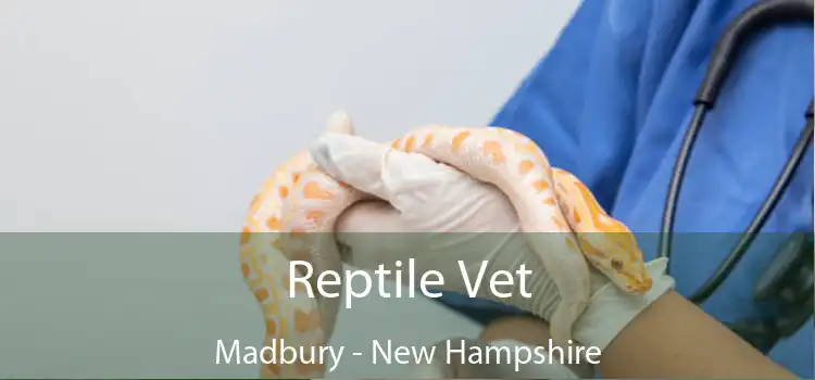 Reptile Vet Madbury - New Hampshire