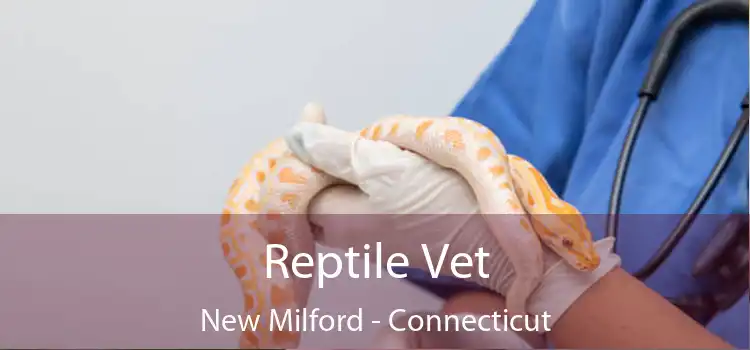 Reptile Vet New Milford - Connecticut