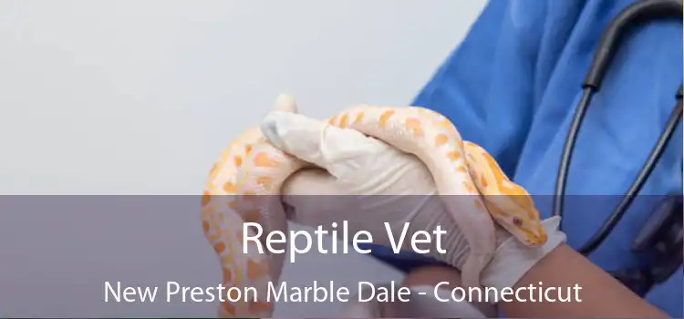 Reptile Vet New Preston Marble Dale - Connecticut