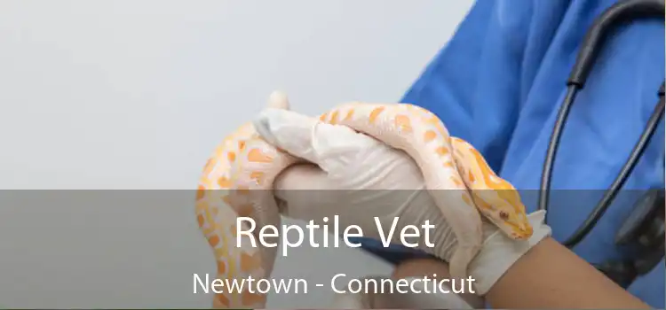 Reptile Vet Newtown - Connecticut