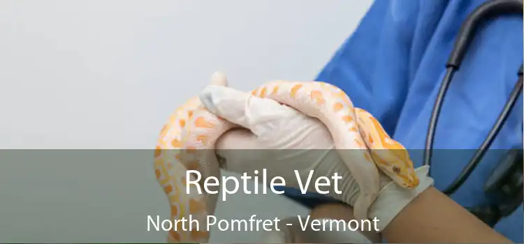 Reptile Vet North Pomfret - Vermont