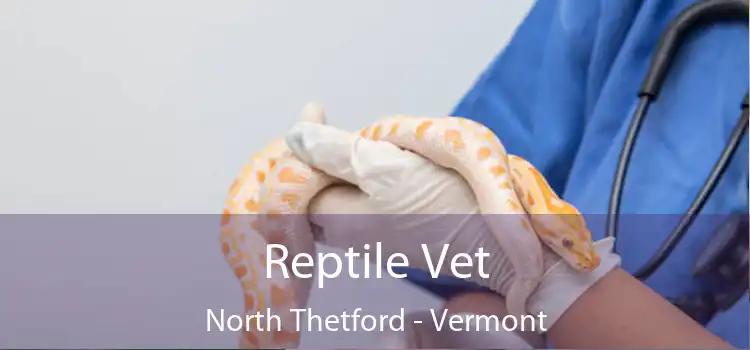 Reptile Vet North Thetford - Vermont