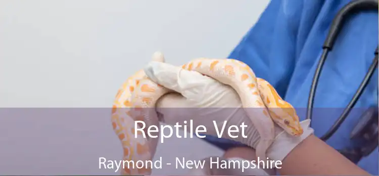 Reptile Vet Raymond - New Hampshire