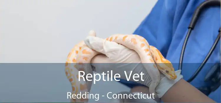 Reptile Vet Redding - Connecticut