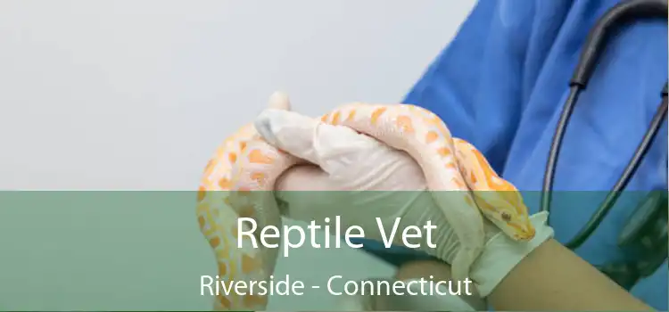 Reptile Vet Riverside - Connecticut