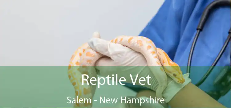 Reptile Vet Salem - New Hampshire