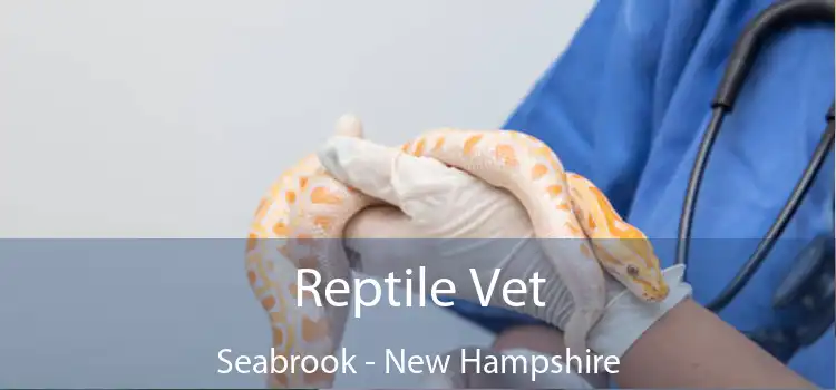 Reptile Vet Seabrook - New Hampshire