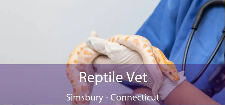 Reptile Vet Simsbury - Connecticut