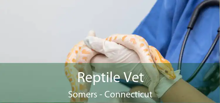 Reptile Vet Somers - Connecticut