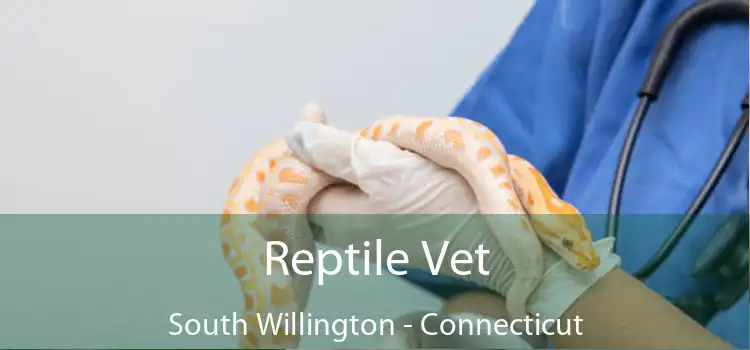 Reptile Vet South Willington - Connecticut