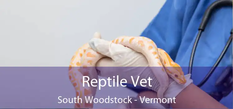 Reptile Vet South Woodstock - Vermont