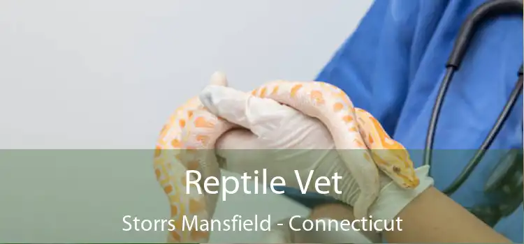 Reptile Vet Storrs Mansfield - Connecticut