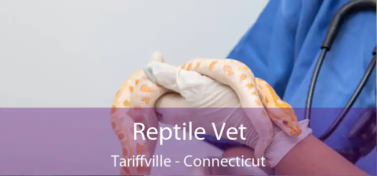 Reptile Vet Tariffville - Connecticut