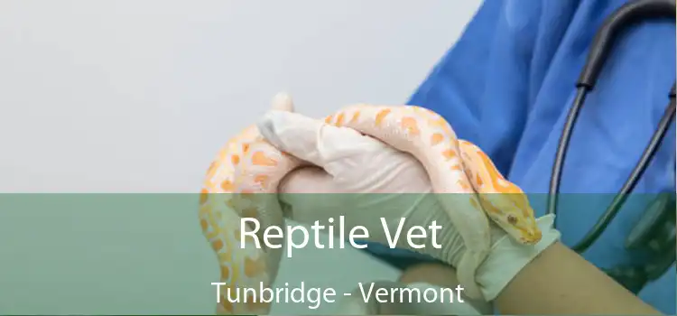 Reptile Vet Tunbridge - Vermont