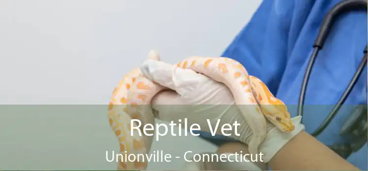 Reptile Vet Unionville - Connecticut