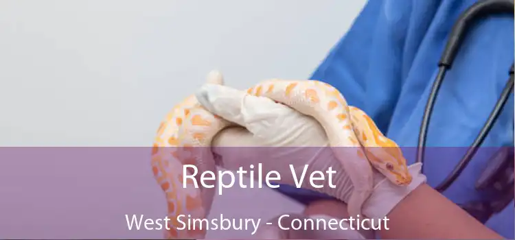 Reptile Vet West Simsbury - Connecticut