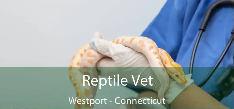 Reptile Vet Westport - Connecticut