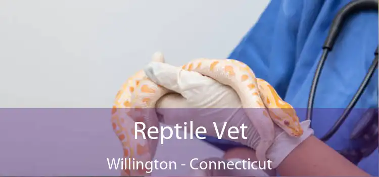 Reptile Vet Willington - Connecticut