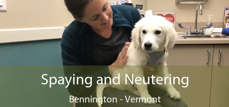 Spaying and Neutering Bennington - Vermont