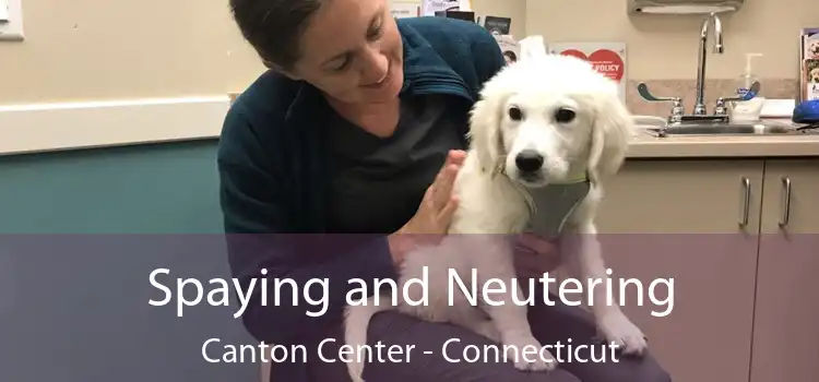 Spaying and Neutering Canton Center - Connecticut