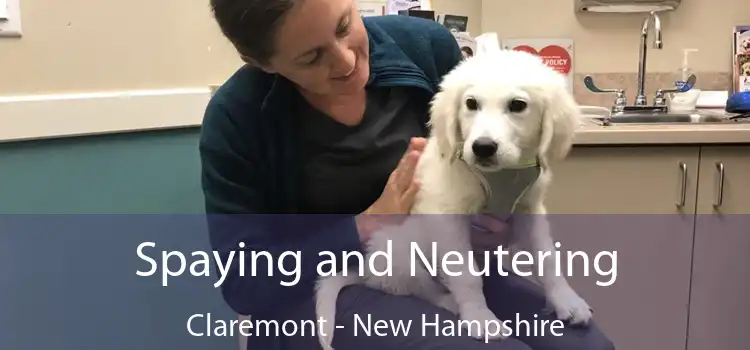 Spaying and Neutering Claremont - New Hampshire