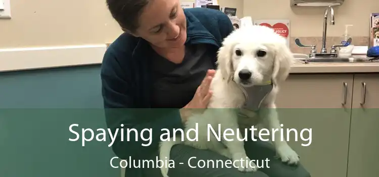 Spaying and Neutering Columbia - Connecticut