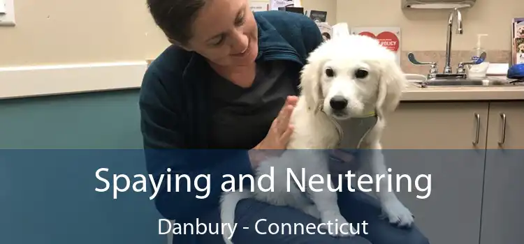 Spaying and Neutering Danbury - Connecticut