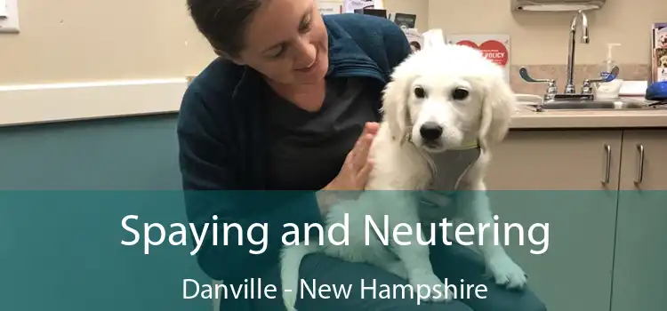 Spaying and Neutering Danville - New Hampshire