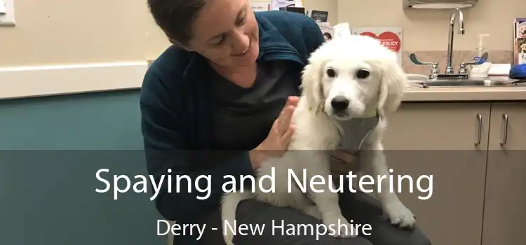 Spaying and Neutering Derry - New Hampshire