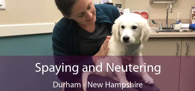 Spaying and Neutering Durham - New Hampshire